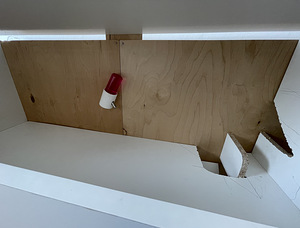 Närilise hamstri puur (4 foto / 4)