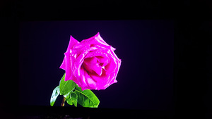 EPSON EH TV - 3200 (4 foto / 5)