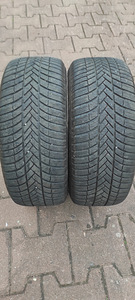 Шины Bridgestone Blizzak LM005 255/55 R18 (2 фото из 8)