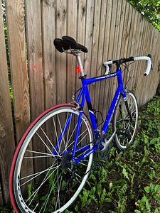 Schwinn Fastback XL (3 фото из 9)