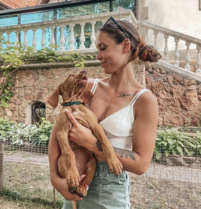 Ungari lühikarvaline linnukoer (2 foto / 4)