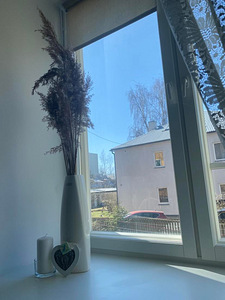 Auna tn, Põhja-Tallinna, Tallinn, Harjumaa (1 foto / 9)