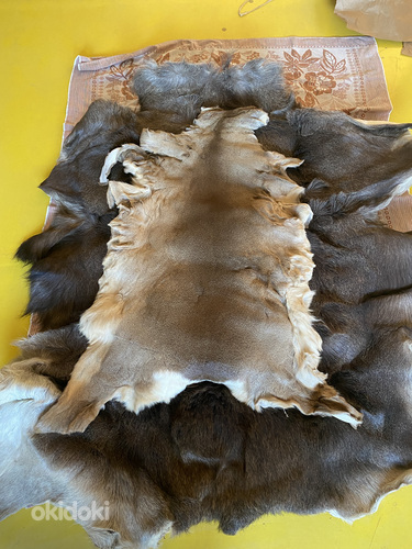 Продаётся шкура косули