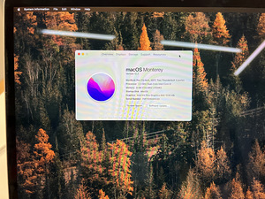 MacBook Pro 13,3” 256Gb 2017 (5 foto / 5)