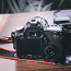 Canon EOS 50D + Canon EFS 18-200mm + kott (foto #1)