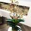 Kunstlill. Orhidee. 100 cm (foto #2)