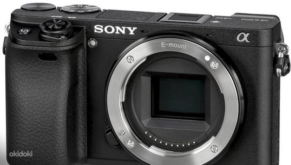 Sony A7sII; Sony A6300; Sony 28-70 Sigma MC-11; 300mm 2.8 (фото #1)