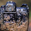 Nikon D3s ; 300mm f2.8 (foto #1)