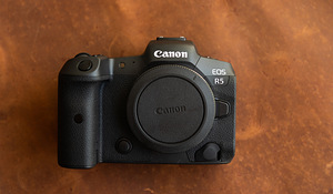 Canon R5 (1 фото из 1)