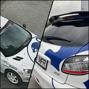 Peugeot 206 WRC Look (9 foto / 13)
