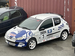 Peugeot 206 WRC Look (3 foto / 13)