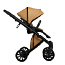 Anex детская коляска 2 в 1 Cross e/Type, Caramel (фото #3)