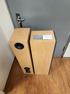 B&W DM 309 HiFi FLOORSTANDING SPEAKERS (4 фото из 4)