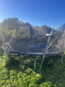 Annan ära batuudi (2 foto / 2)