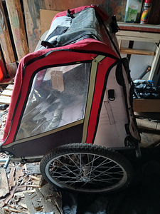 Rattakäru 2 lapsele (2 foto / 3)