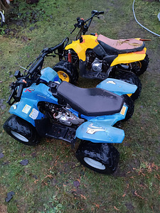 ATV-д 2 шт. 110 см3 (2 фото из 10)