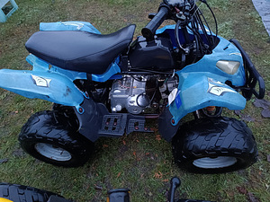 ATV-д 2 шт. 110 см3 (10 фото из 10)