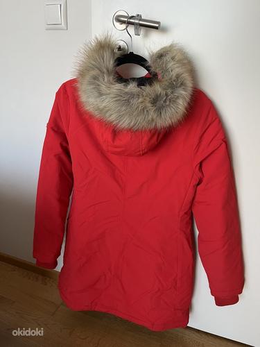 Tommy Hilfiger punane talveparka M