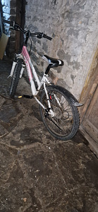 Jalgratas 10+a (2 foto / 4)