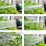 Садовый шланг с удлинителем 30-60М зеленый (фото #2)