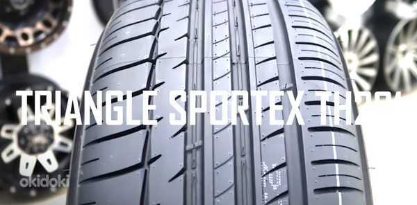 Шины 255/50 R19 Triangle Sportex TH201