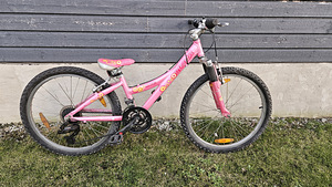 TREK MT220 (2 фото из 2)