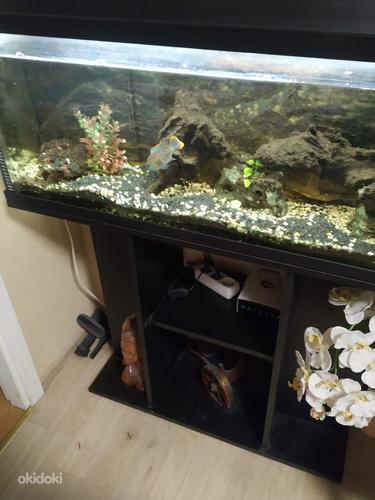 Продам аквариум Juwel 120л. (фото #1)