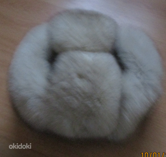2 hõberebase mütsi