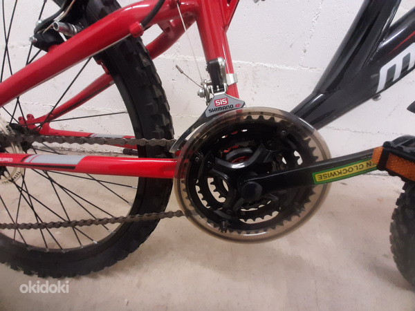 Jalgratas Muddyfox Recoil 25