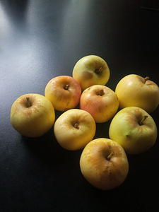 Õunad (Antoonovka/ Suvine triibuline/ Kuldrenett) (8 foto / 9)