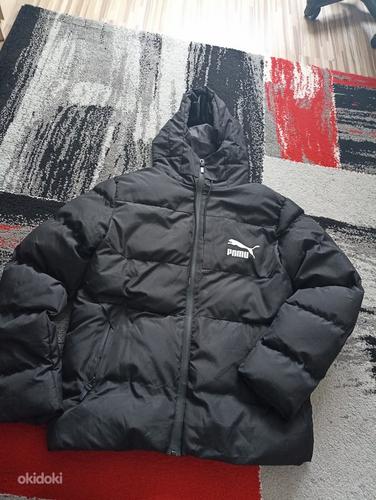 Новая куртка женская размер l-xl (фото #1)