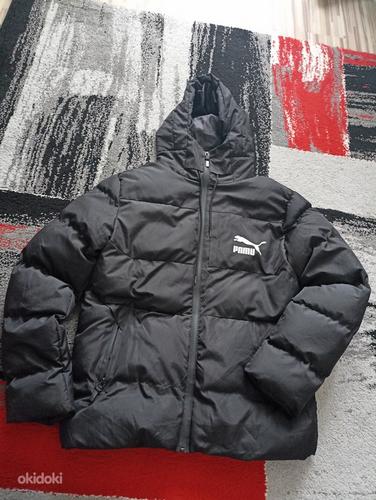 Новая куртка женская размер l-xl (фото #3)