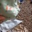 Breden huppa hm одежда для мальчика размер 74 цена все вместе (фото #4)