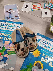 Игрушки и книги для мальчика (6 фото из 8)