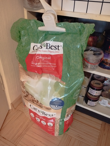Cat's best original