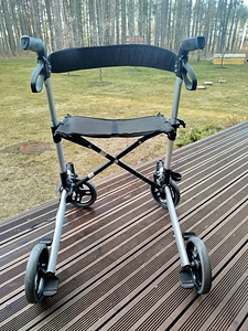 Rulaator (3 foto / 5)