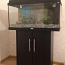 Juwel 110 аквариум (фото #1)