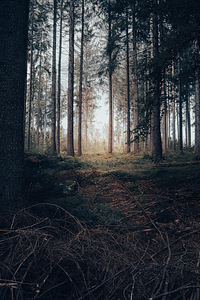 Lisatöö (1 foto / 1)