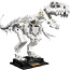 LEGO Ideas: окаменелости динозавров 21320 (фото #5)