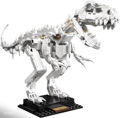 LEGO Ideas Dinosauruse fossiilid 21320 (foto #5)