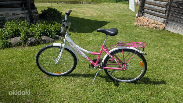 Laste jalgratas Raleigh Daisy