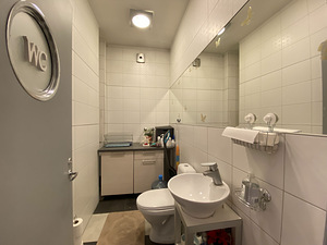 Luise tn 22, Kesklinna, Tallinn, Harjumaa (6 foto / 7)