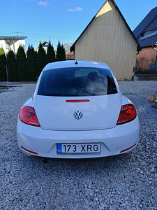 Volkswagen Beetle (7 foto / 7)
