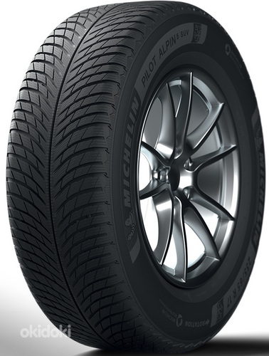 Talverehvid MICHELIN PILOT ALPIN 5suv 4tk