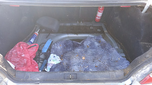 Peugeot 406 (6 foto / 8)