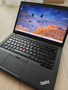 Lenovo ThinkPad T440s (Windows 11, i5, 8GB, Uus SSD, ID) (1 foto / 7)