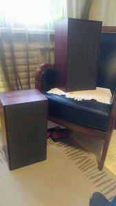 HI-FI колонки, Radionette TK20S, Tandberg, Норвегия (1 фото из 10)