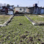 Müüa maatükk, elamumaa - Sinilille 3, Narva, Ida-Virumaa (foto #4)