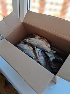 Särg Peipsi järvest (2 foto / 2)