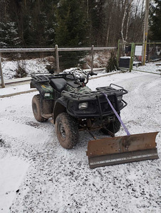 Linkoln 250 ATV (5 фото из 10)